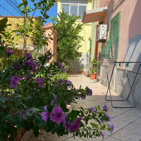 Lemon House 사사리